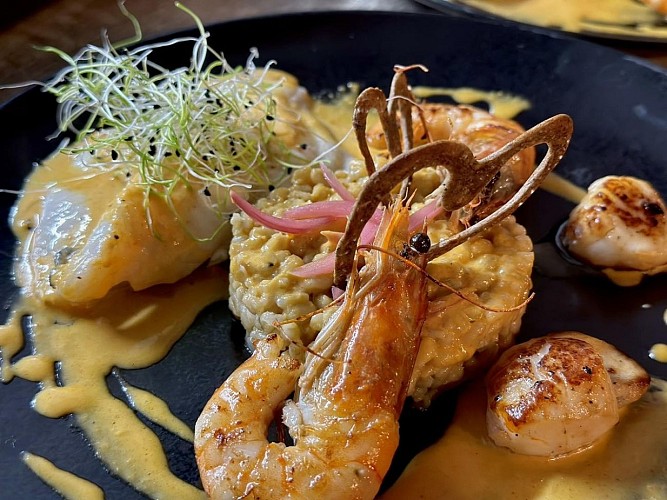 331586582_566077972116615_4115644418475642473_n