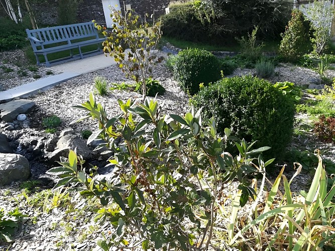 Amenagement-jardinet-Balleroy
