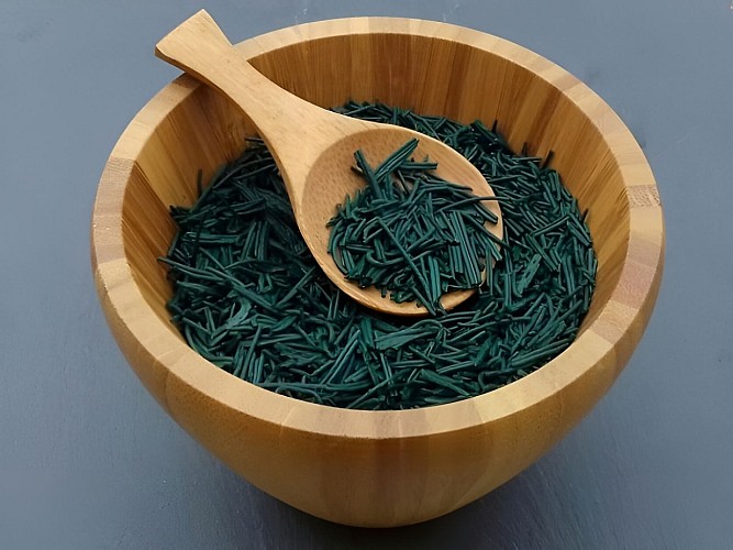 SPIRULINE-PURE-EN-BRINDILLES