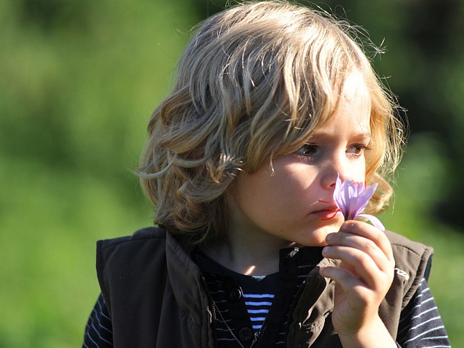 Safran_Normandie_©philippe-schaeffer