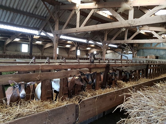 Ferme de la Bajocasse 1