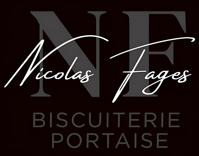 LOGO Nicolas FAGES