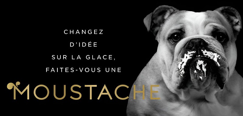 Glaces Moustache