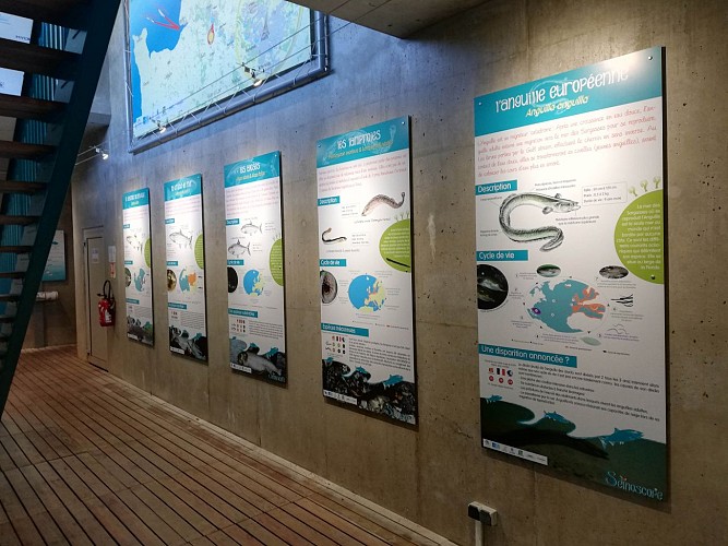 seinoscope 2 © Parc Léry Poses