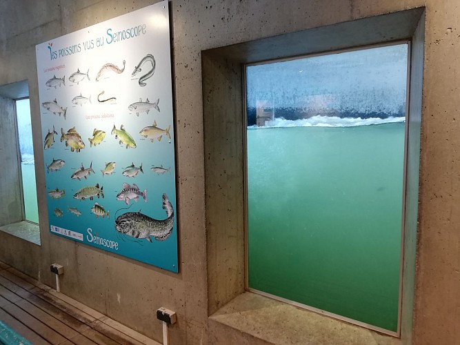 seinoscope © Parc Léry Poses