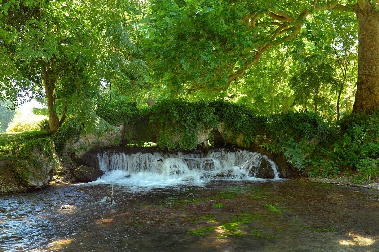 Jardin d'Acquigny2©M D'Esneval