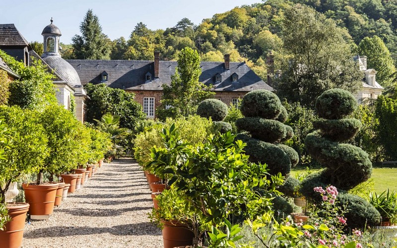 La collection d’agrumes, Charles Faye