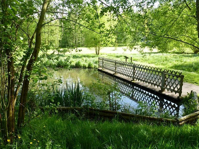 Moulin Amour - SAINT OUEN DE PONTCHEUIL 6