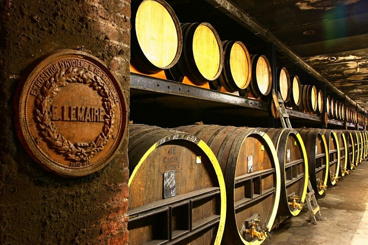 Cave bas alignement ©  Calvados Morin