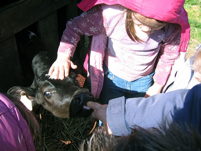 Centre Formation Elevage de Canappeville © OT Le Neubourg