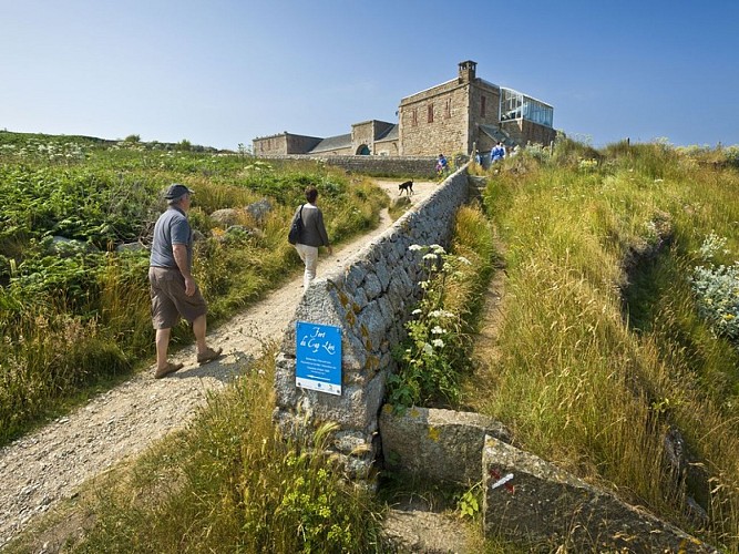 fermanville-fort-napoelonien-du-cap-levi©marc-lerouge (2)