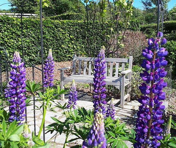 jardin-et-manoir-de-bunehou-saint-germain-le-gaillard-4