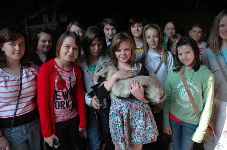 Saint-Hilaire-Petitville_Chèvrerie du Mesnil_visite groupe à la ferme_1