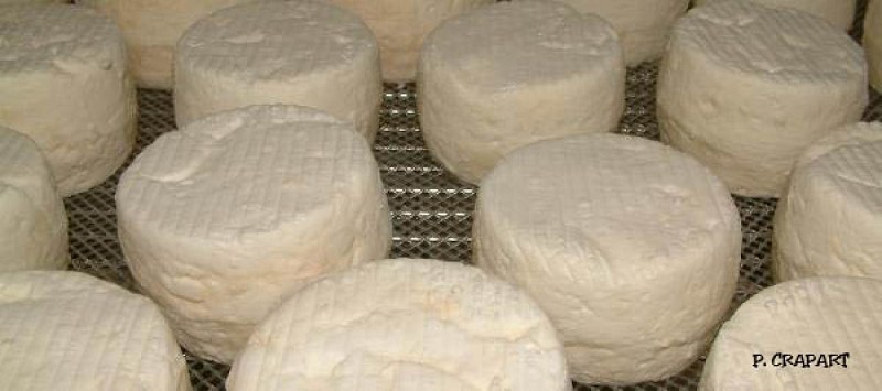 Gathemo_La Manchevrette_gathemotin-frais