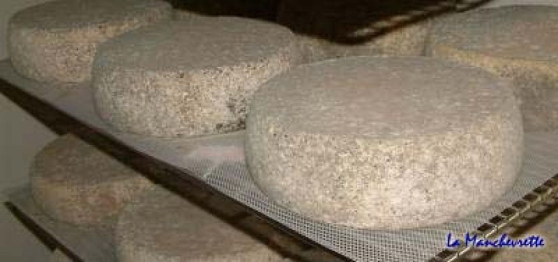 Gathemo_La Manchevrette_tomme