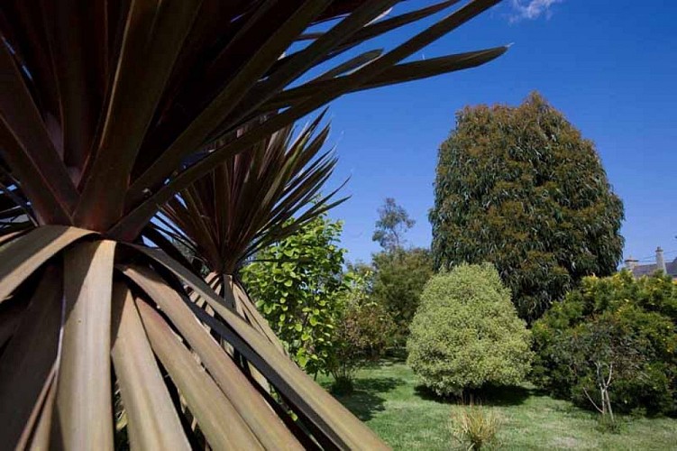 Jardin du Bourg - Anneville en Saire 2