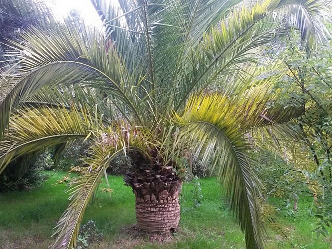 anneville-en-saire-jardin-du-bourg (1)