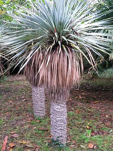 anneville-en-saire-jardin-du-bourg (2)