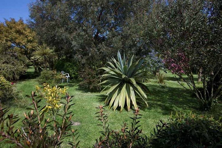 Jardin du Bourg - Anneville en Saire 1