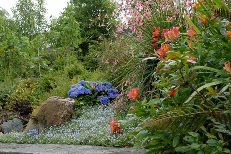 Jardin Le 22 de La Fournellerie - Hardinvast 1