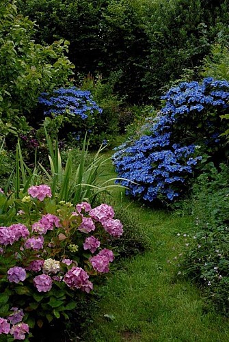 Jardin Le 22 de La Fournellerie - Hardinvast 2