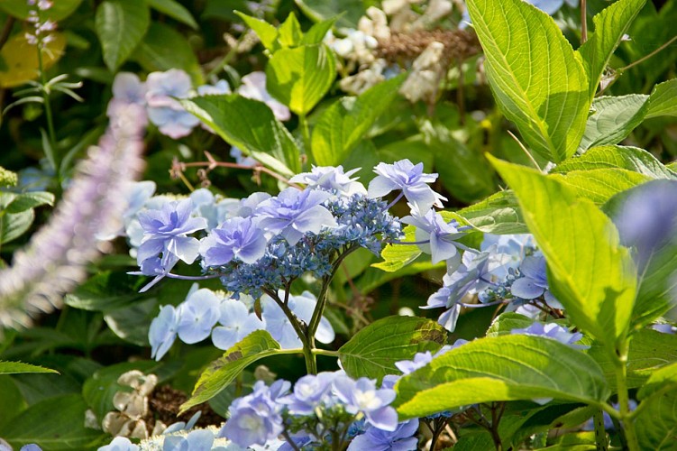 urville-nacqueville-jardin-la-blanche-maison-2© Mathilde Mochon