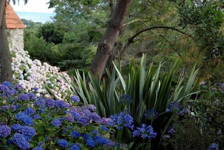 Jardin La Blanche Maison - Urville-Nacqueville 1