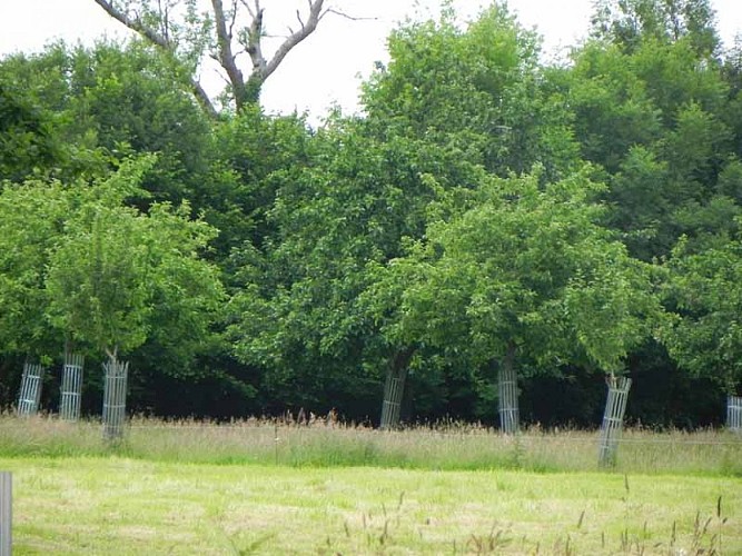 2013_Belval_Cidrerie de la Hurie©A.Flambard-cg50 010