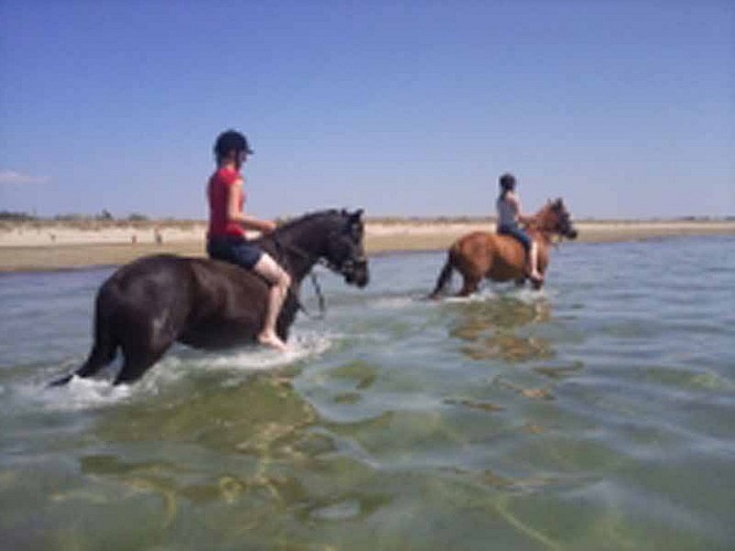 2012_Bolleville_CTE Chevaux &amp; Anes des Mares_200_TIS