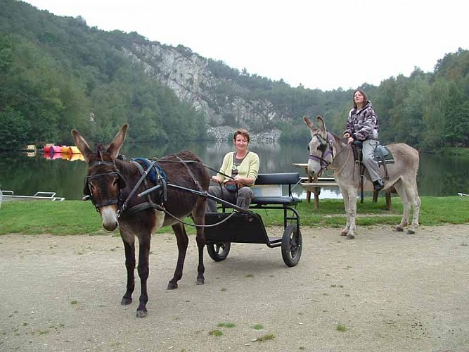2012_Bolleville_CTE Chevaux &amp; Anes des Mares_mont castre_TIS