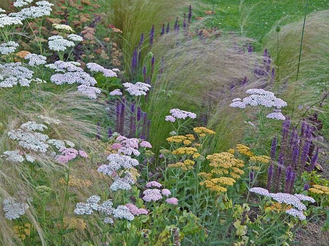 Barneville-Cartert_Jardin terre d'aïeuls (4)