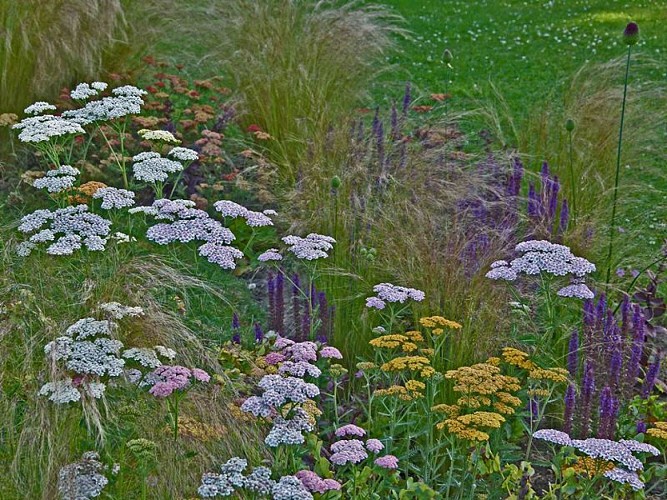 Barneville-Carteret-Jardin Terre d’Aïeuls-7