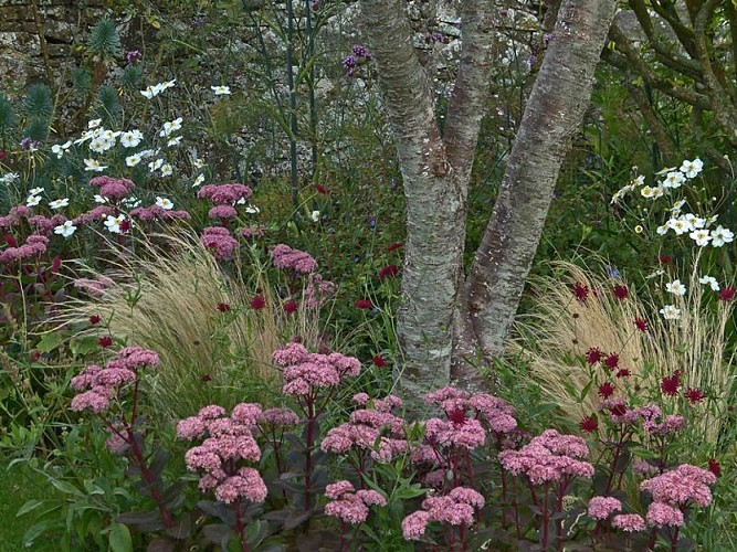 Barneville-Carteret-Jardin Terre d’Aïeuls-6