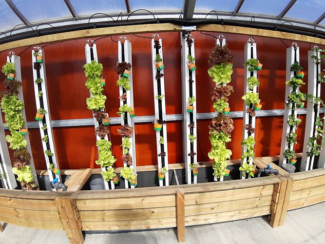 tourlaville-les-jardins-du-saumonier-cherbourg-6