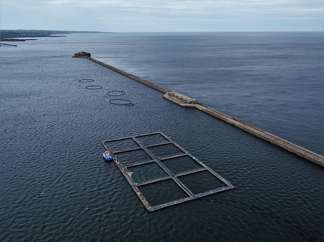 tourlaville-les-jardins-du-saumonier-cherbourg-3