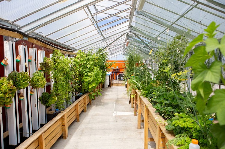 tourlaville-les-jardins-du-saumonier-cherbourg-9