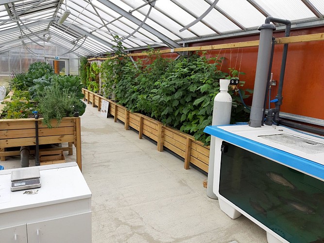 tourlaville-les-jardins-du-saumonier-cherbourg-7