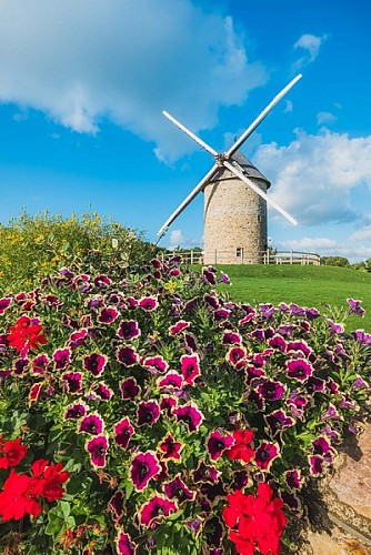 gouville-sur-mer-moulin-1