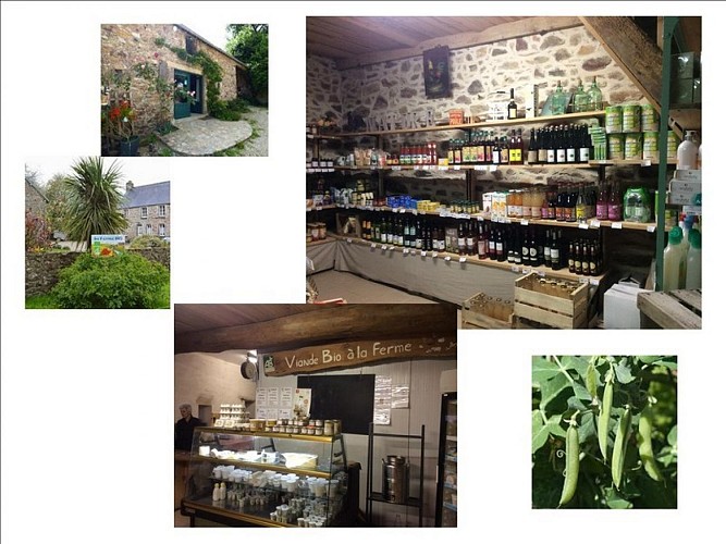 gonneville-le-theil-ferme-des-douces-prairies (1)