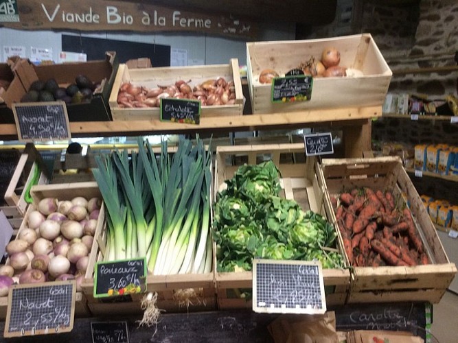 gonneville-le-theil-ferme-des-douces-prairies (7)