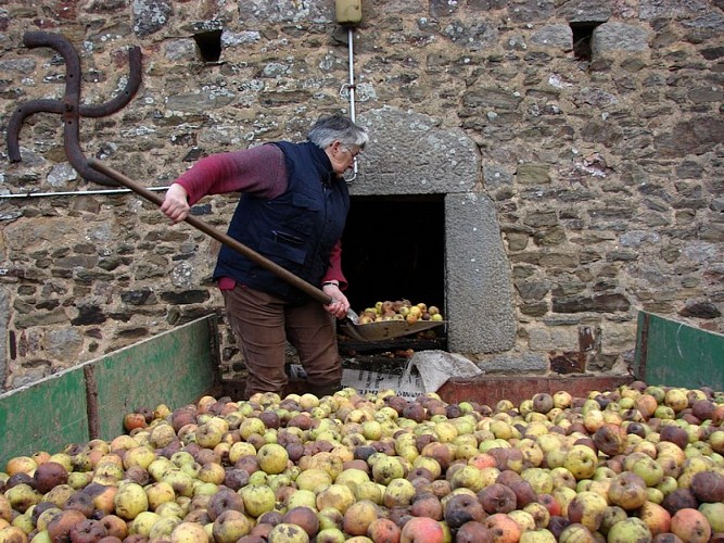 le-vast-calvados-laurent-michel (3)