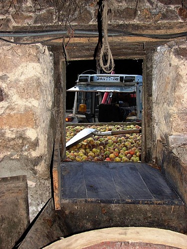 le-vast-calvados-laurent-michel (2)