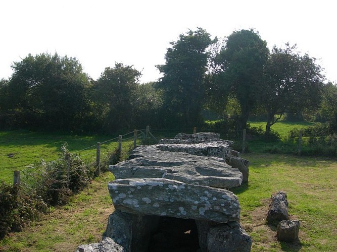 bretteville-en-saire-allee-couverte (3)