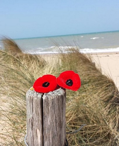 first-normandy-battlefield-tours-3