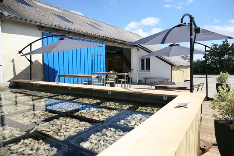 agon-coutainville-chez-le-pere-gus (4)