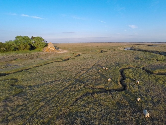 CorpsGarde-st-germain©CLELAN (1)-bd