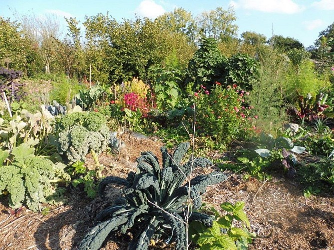 saint-sauveur-le-vicomte-hameau-bouet