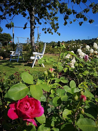 percy-en-normandie-les-jardins-du-vaudinet-4©ot-villedieu