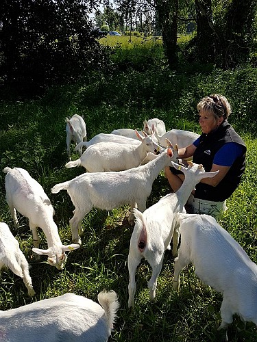 chevrerie-bouc-ay-bretteville-sur-ay