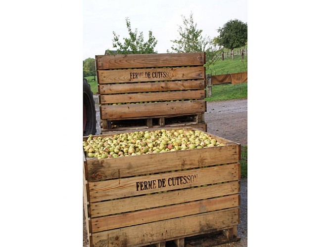 Ferme de Cutesson - Vimoutiers